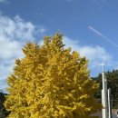 컨츄리로드커피 | 태안 컨츄리 로드 커피 후기 — 폐교 리모델링 감성 힐링카페