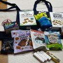 어반민박 | [뉴욕] 6년 만의 뉴욕 여행 준비하기