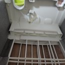 삼오2구 이미지