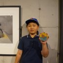 이리팔봉초등학교 이미지