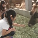 연수농장 이미지