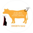 명품한우암소숯불