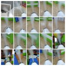 홍천체육관태권도장 이미지