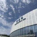 민선농장 | 알감자 농장 구경 후기