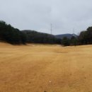 세컨더블비 이미지