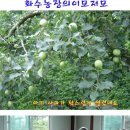 화수 농장 이미지