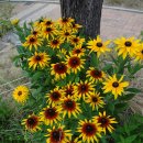 봉무공원 놀이터 이미지