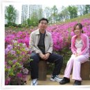 은모 Daum카페