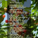 아이스마트교육