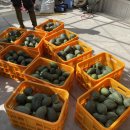 해랑농장 이미지