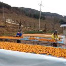 우량농장 이미지