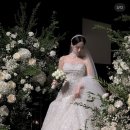 헤어 미 메시지 | 아이폰 스냅 보고 베뉴 결정한 예신의 아모리스 역삼 로지미 스냅 계약후기(짝꿍할인 ⭕️)