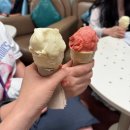 크루즈 여행 후기!!(`26.6.13.~6.19.)