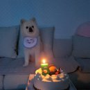 옵스인천 | [인천/롯데백화점] 베이커리 ' 옵스' 케이크 구매 후기