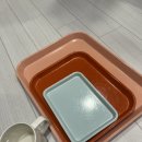 더캠트 - 울주군 굴화1길 7-5 | [쿠팡] 감각적인 색감과 실용성까지 잡은 캠브로 캠트레이 쟁반 (오렌지, 다크피치, 스카이블루) 사용 후기