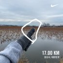 신평리(자연정화 생태습지)야외운동기구 | 경산 러닝 하기 좋은 코스 압량 연지