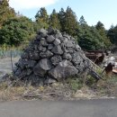 성읍2리 이미지