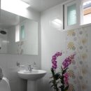 신사동-22 이미지