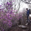 오소재민박 이미지