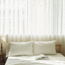 디자인H커튼 이미지