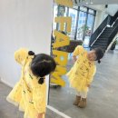 크로플팜 | 전주 혁신도시 카페 옐로우팜 딸기크로플 망고주스 생과일 디저트 맛집