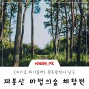 제봉산 마법의 숲체험원 이미지