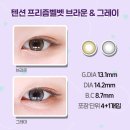 다비치안경송파사거리점 이미지