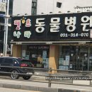 펫츠나라 동물병원 이미지