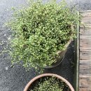 이발하기좋은날 이미지