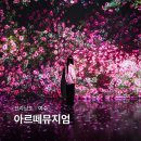 2023 12월 광주상설공연 | 여수 아르떼뮤지엄 예매 전시회 핫플 여수 실내 데이트
