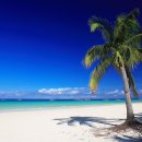 웰빙하우스 이미지