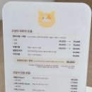 벌거벗은 고양이 이미지