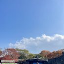 제주산굼부리분화구 | [4박5일] 제주도 2일차(2) :: 산굼부리 - 화산 분화구 지형 산책로 후기 (입장권 할인)