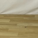 대성글램핑 이미지