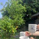 제주고옥 이미지