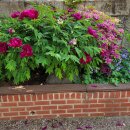 꽃밭교회 이미지