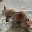 대황농장 | 5월은 안녕하시소