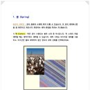 세탁 이야기 이미지