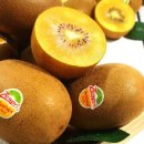 자연식탁 이미지