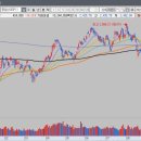 동신텍스 이미지