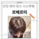 인모 헤어 피스 정수리 커버 르베르띠 델라 앞머리 탑커버 시스루뱅 후기