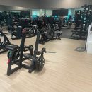 업핏 웰니스 클럽 이미지