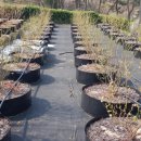 매향농장 이미지