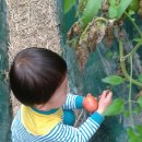 청호농장 이미지