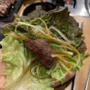 송정동-8 | [경기도광주맛집] 송정동 곤지암 근처 가족모임으로 유명한 '정원갈비 경기광주'