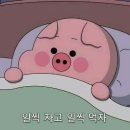 한마음정육식당한민 네이버블로그