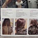 헤어시연 | 홍대 양리헤어 브러싱 X 벨리시마 시연행사 참여 후기/벨리시마 여행용 고데기 후기