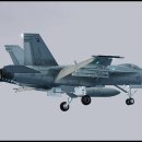 Republic of Korea AIrforce F/A-18?? 이미지