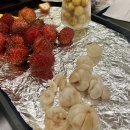 달구지카서비스 | 나트랑 여행 후기｜4박 5일 나트랑 자유여행 일정, 맛집, 숙소 추천