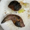 도봉구 무수아취 글램핑 바베큐 후기｜시설·고기·분위기 다 좋았던 도봉구 글램핑 추천